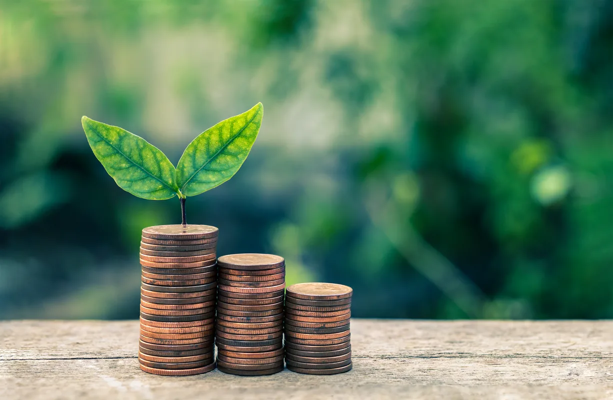 Financial growth and investment concept